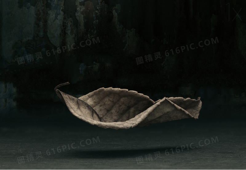 枯叶悬浮高清素材