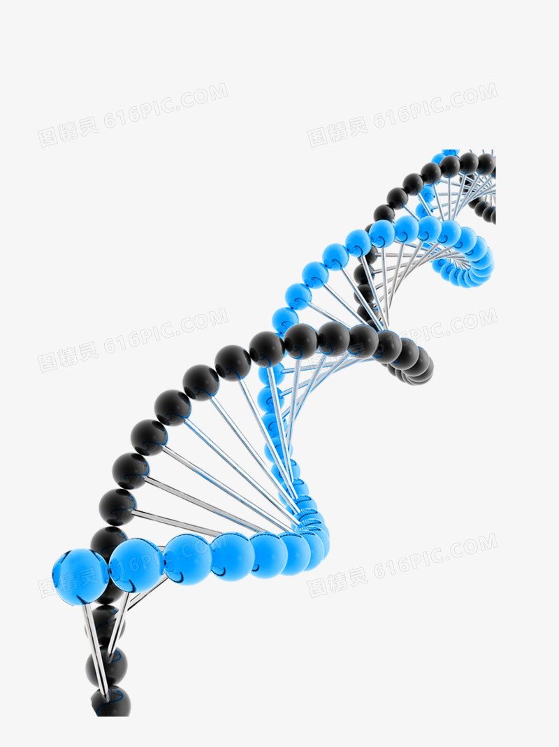 DNA