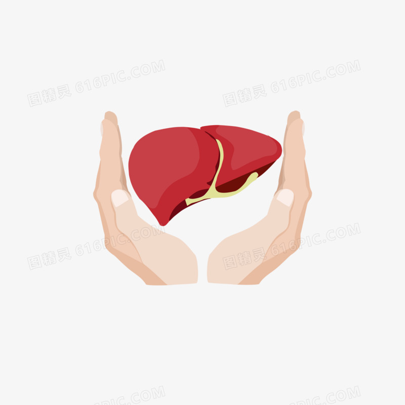 创意扁平卡通保护肝脏免抠元素