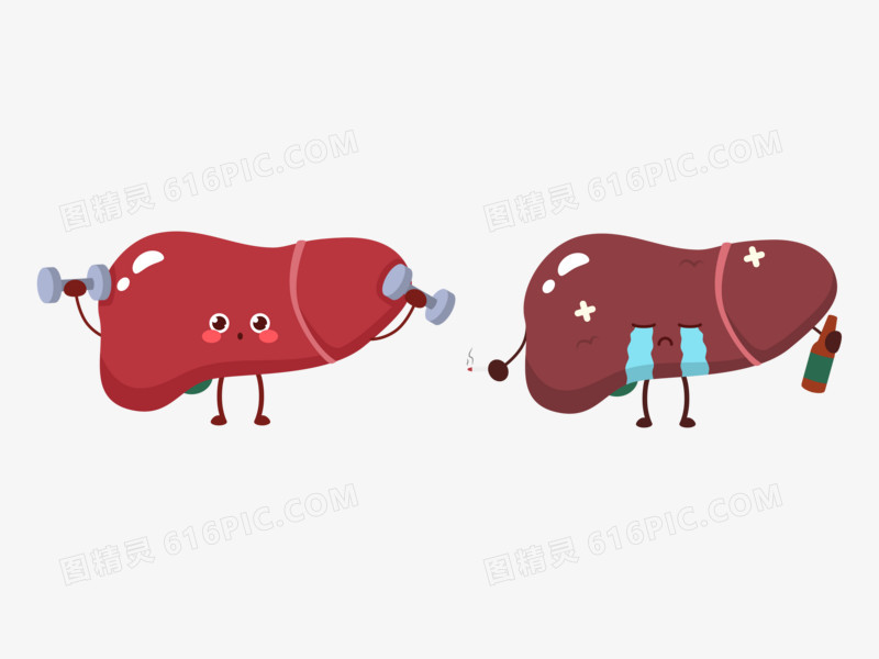 手绘卡通健康和不健康的小肝脏免抠元素