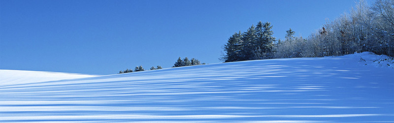 冬季景色背景图