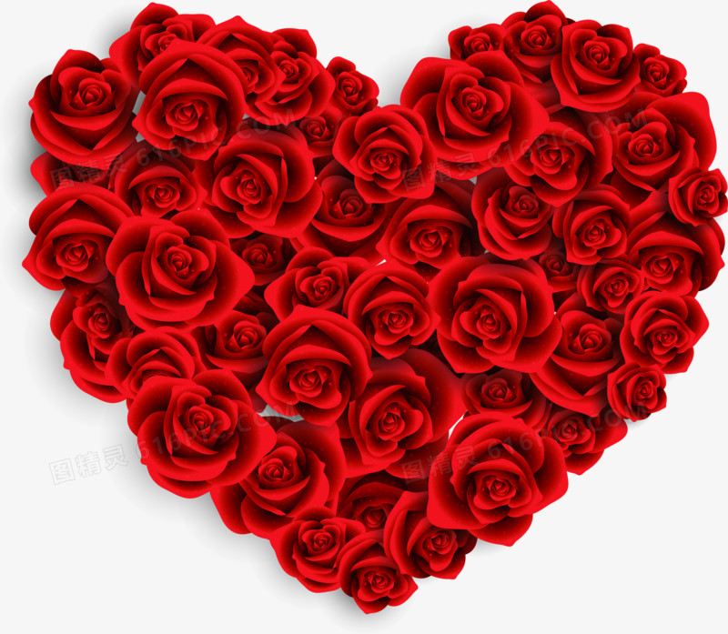 鲜艳红色玫瑰花朵爱心