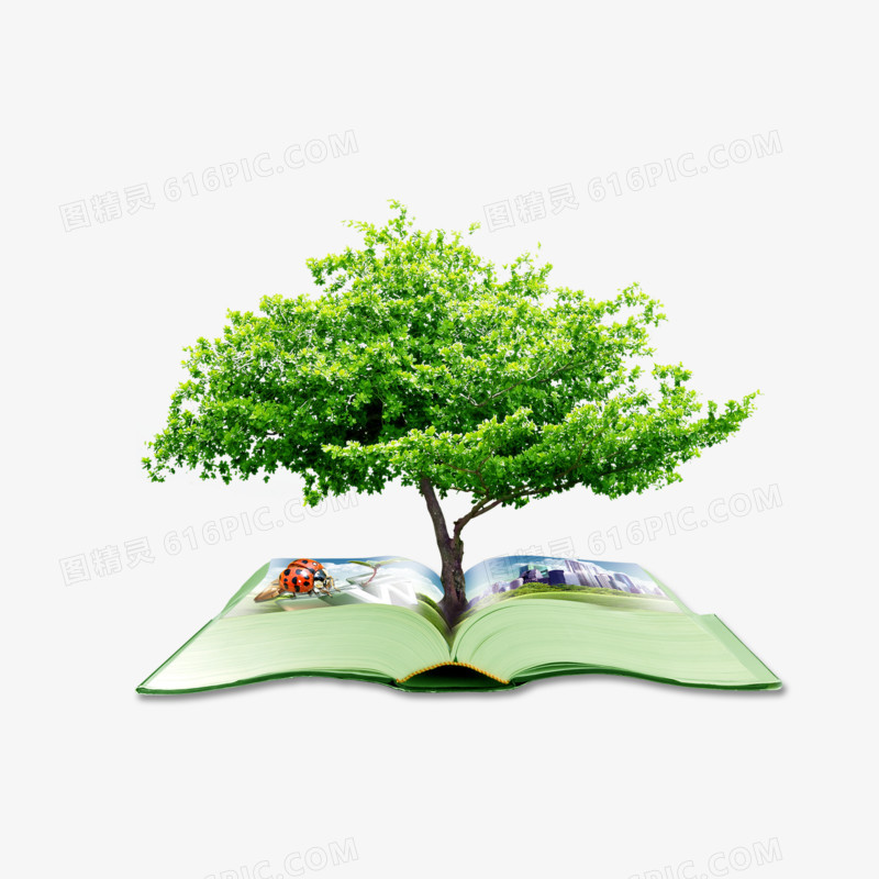 书中的树图案