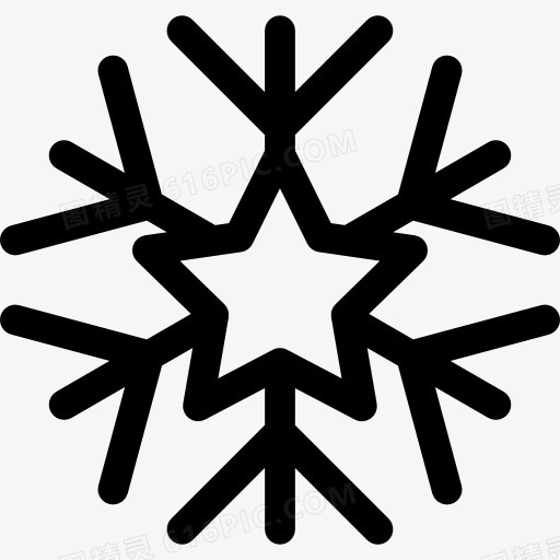 Snowflake 图标