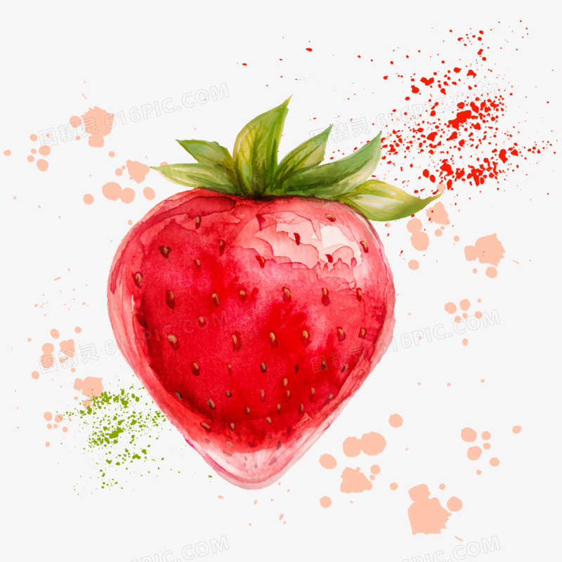 矢量水彩草莓
