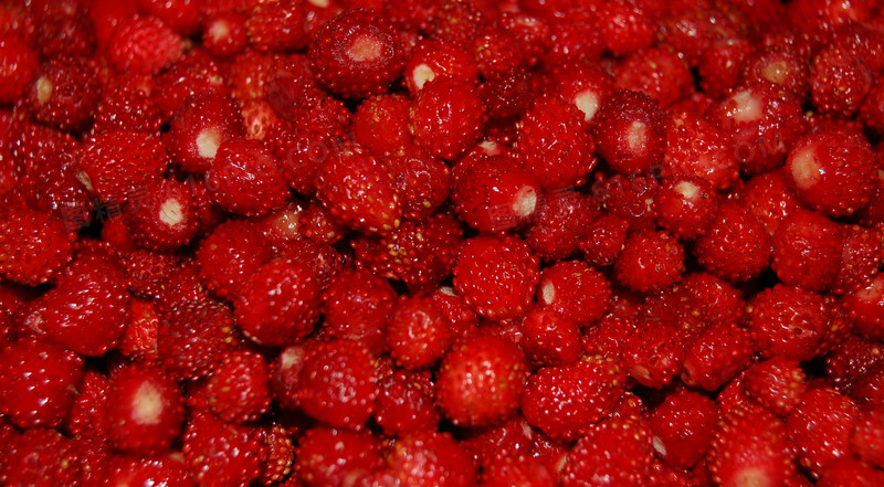 高清红色小草莓水果