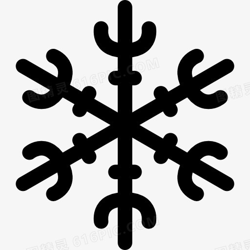 Snowflake 图标