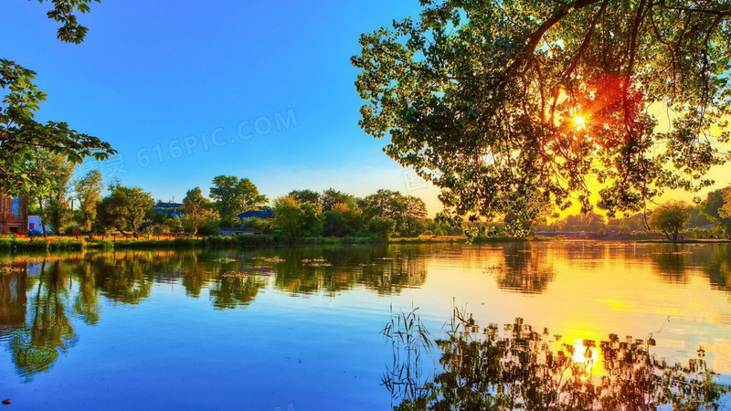 蓝天阳光树木湖水
