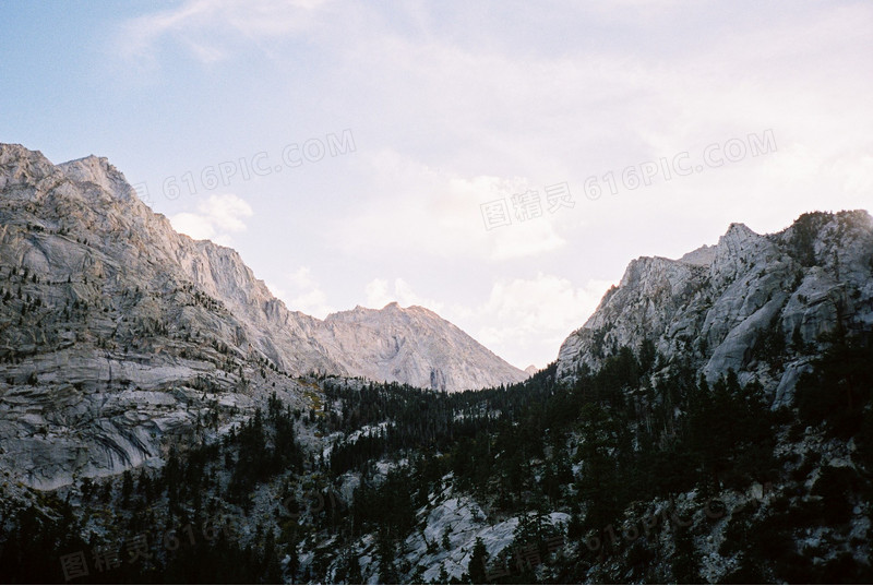 深林山谷海报背景