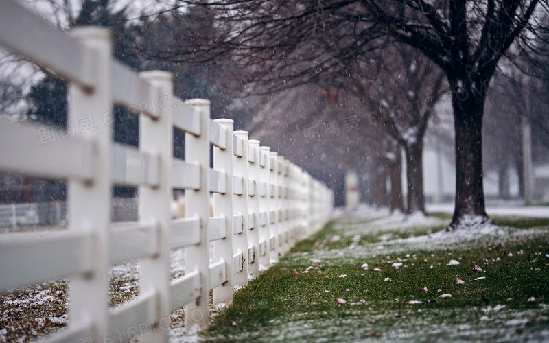 冬季白栅栏枯树海报背景