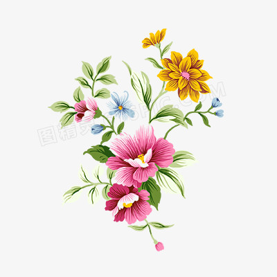 唯美花卉