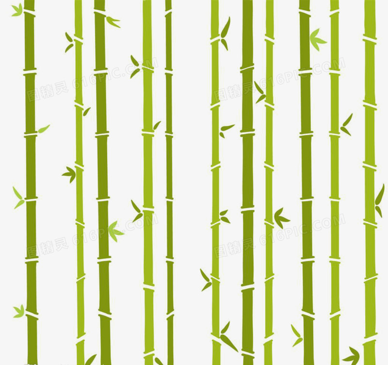 竹子图案竹叶图片 卡通手绘清新竹子