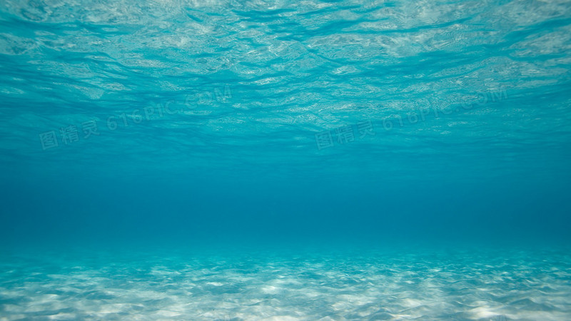 蔚蓝色的海底世界