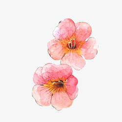 彩色手绘樱花花朵
