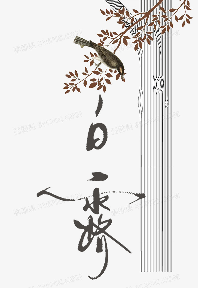 白露字体设计