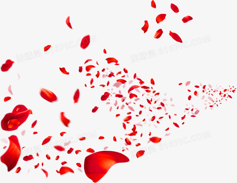 飞舞的红花瓣