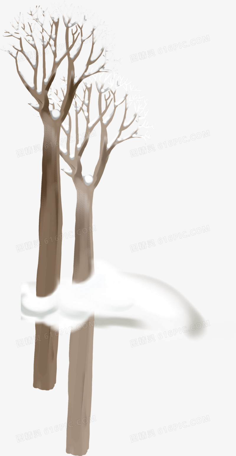 树枝冬季素材