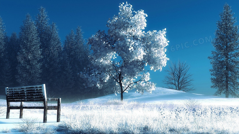 冬季大树凳子海报背景