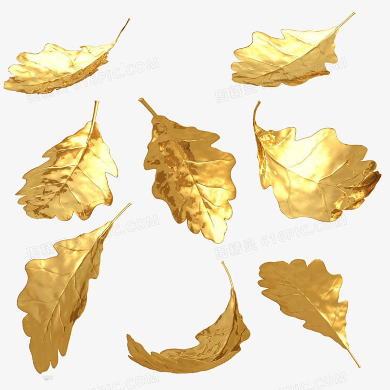 金色树叶图案
