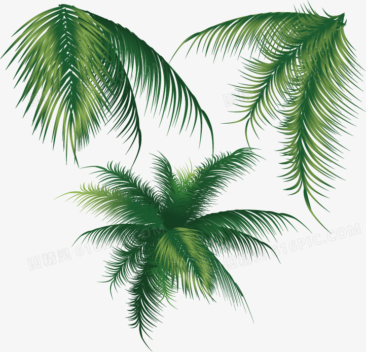 椰子树叶样式