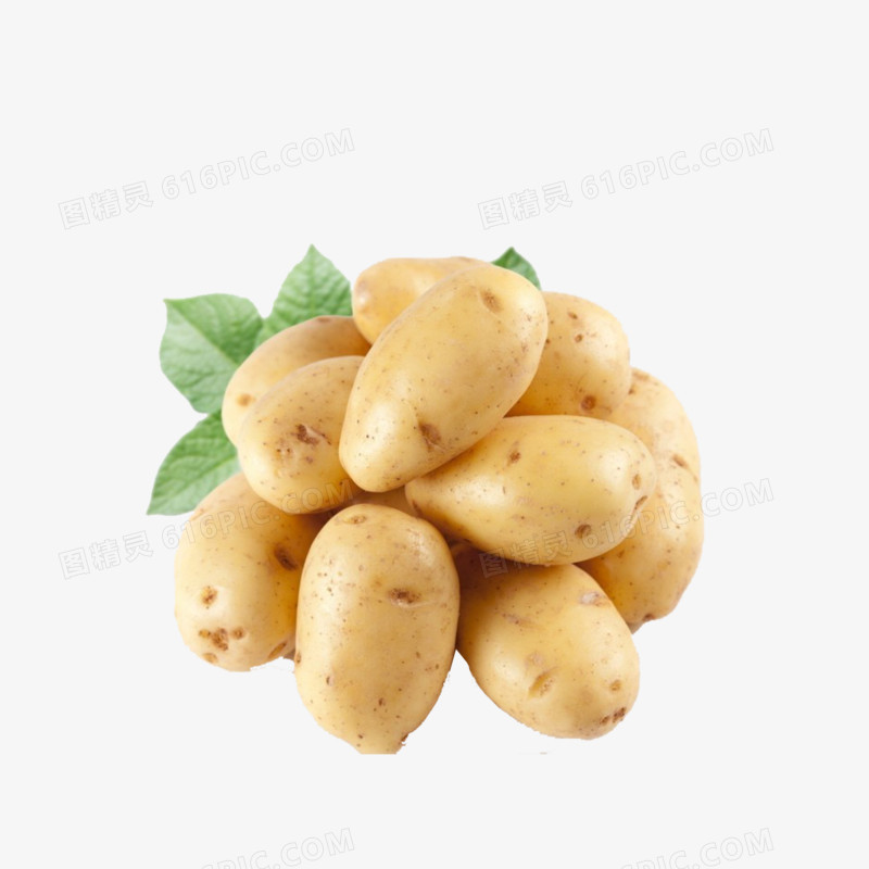 土豆