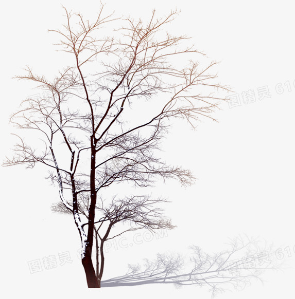 手绘冬季大树