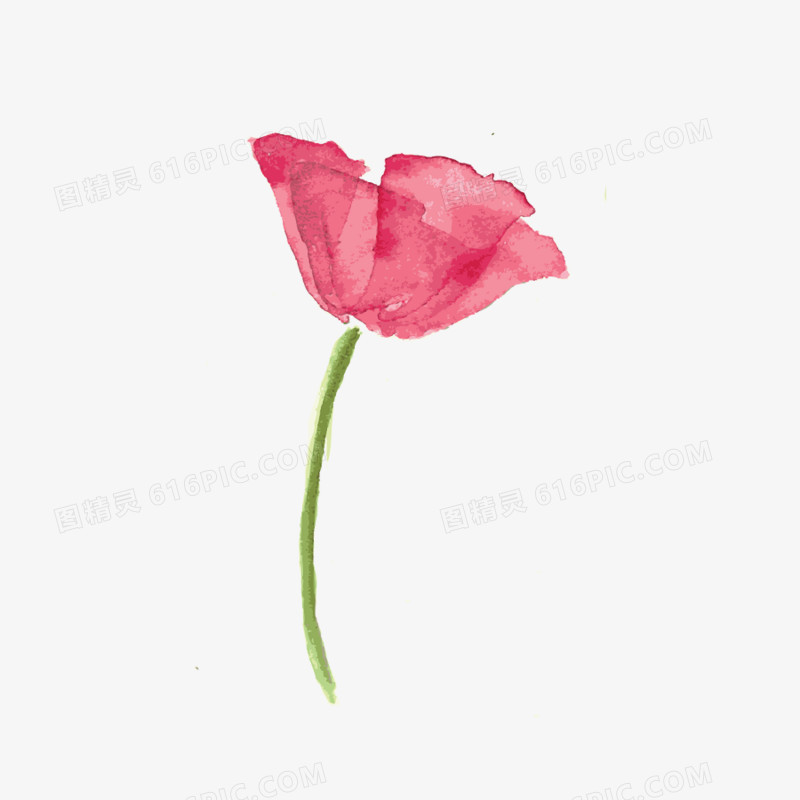 花朵手绘