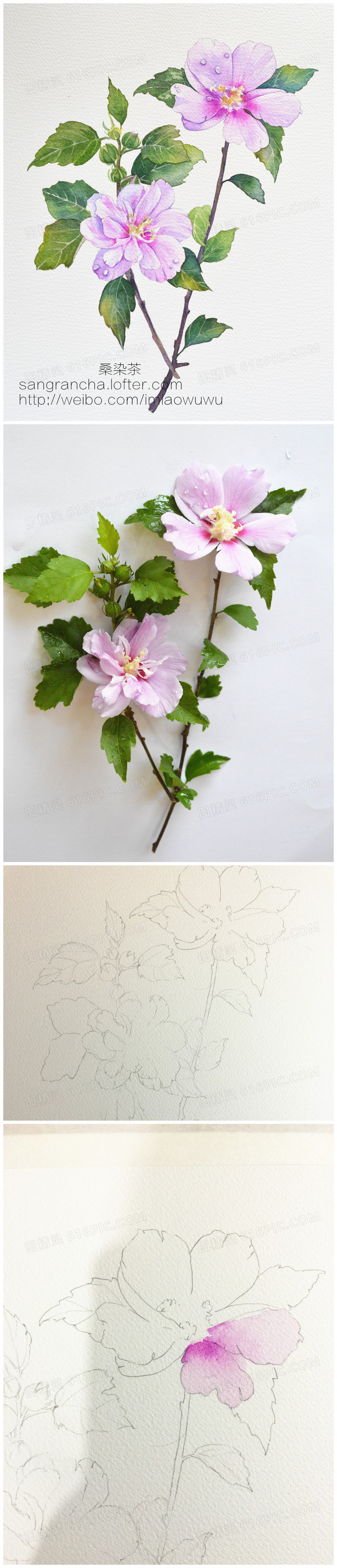 纹理水彩花朵壁纸