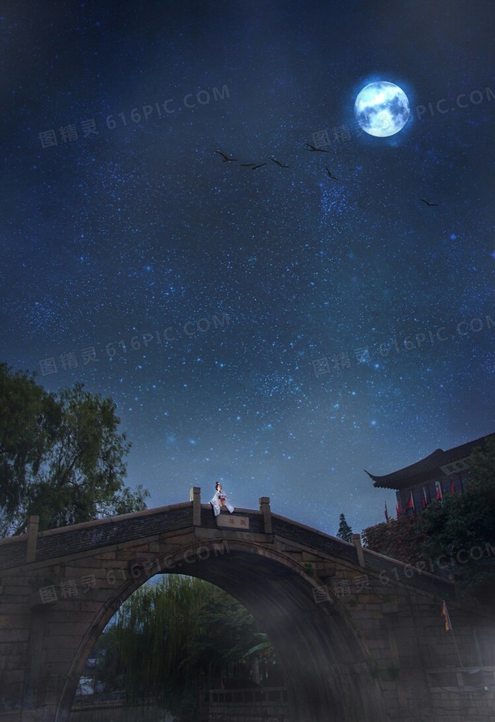 夜晚风景星空乌鸦