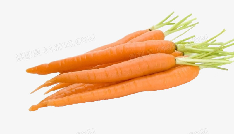 卡通蔬菜图片手绘  胡萝卜