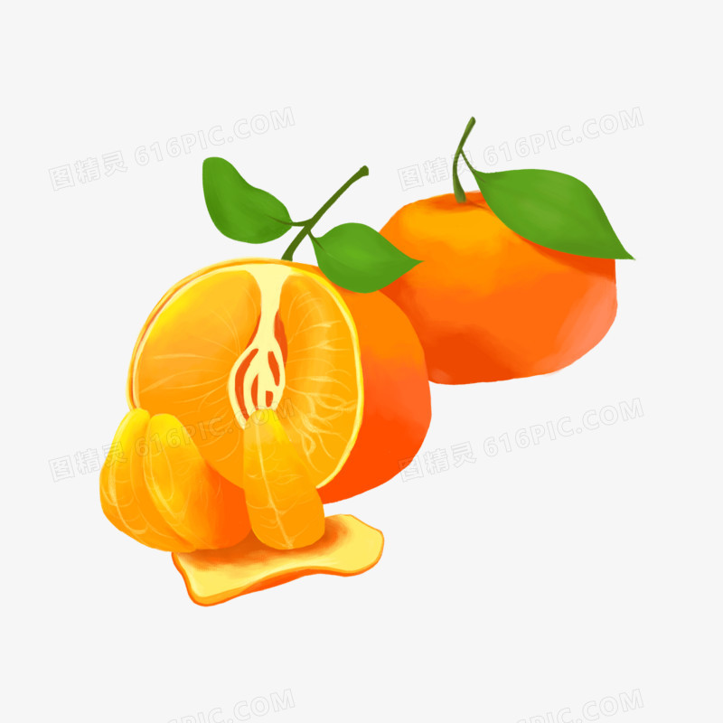 卡通手绘剥开的橘子水果
