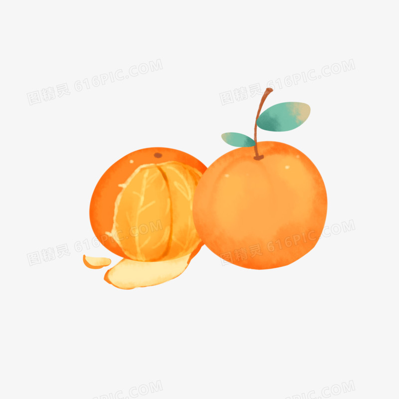 手绘卡通两个橘子免抠元素