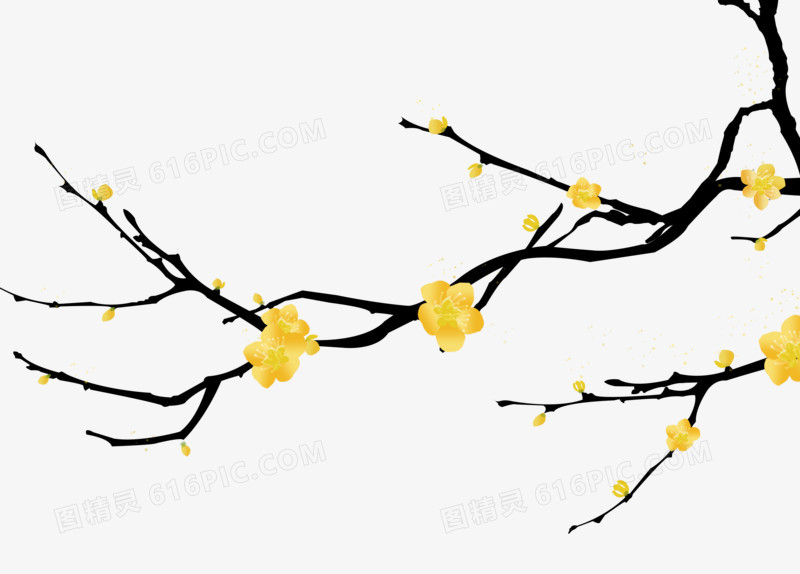 冬天的黄色腊梅花装饰元素