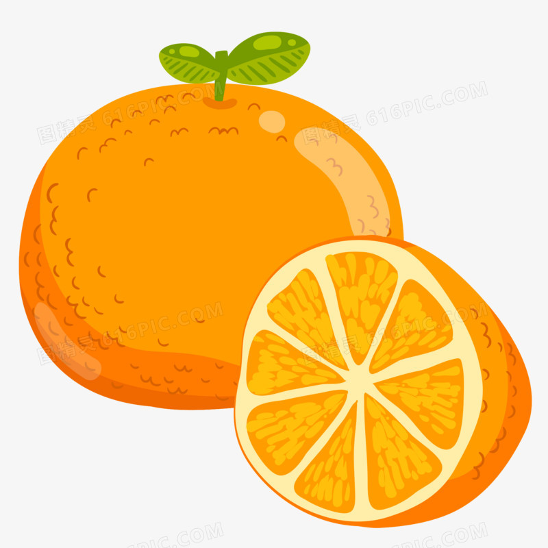 手绘矢量橘子元素