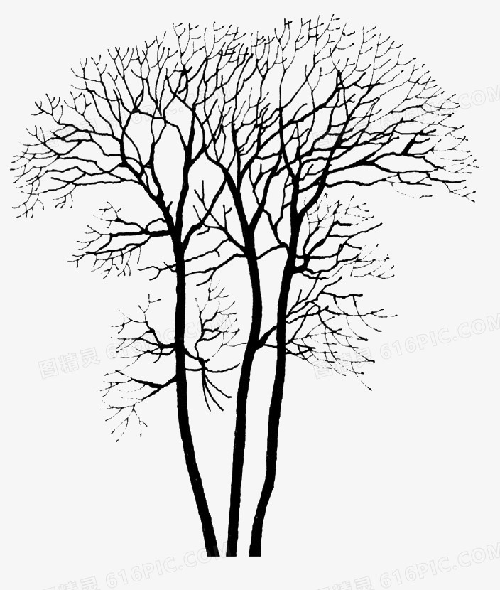冬天的树简笔画 落叶图片
