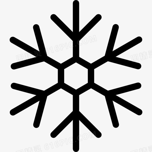 Snowflake 图标