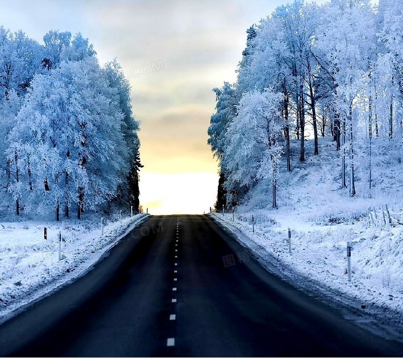 冬季公路森林风景