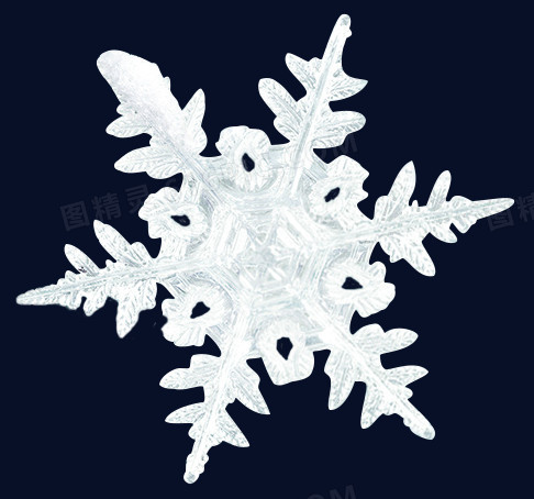 清新白色冬季雪花图标