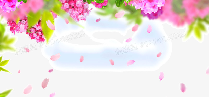 花卉 花瓣  背景装饰图案 五彩颜色