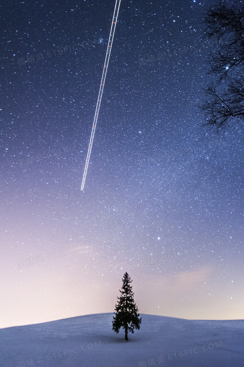 天空星光树枝