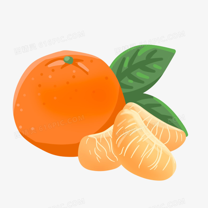 卡通手绘橘子水果素材