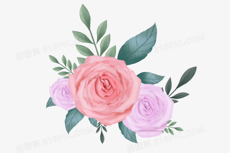 浪漫玫瑰花卉插画装饰元素
