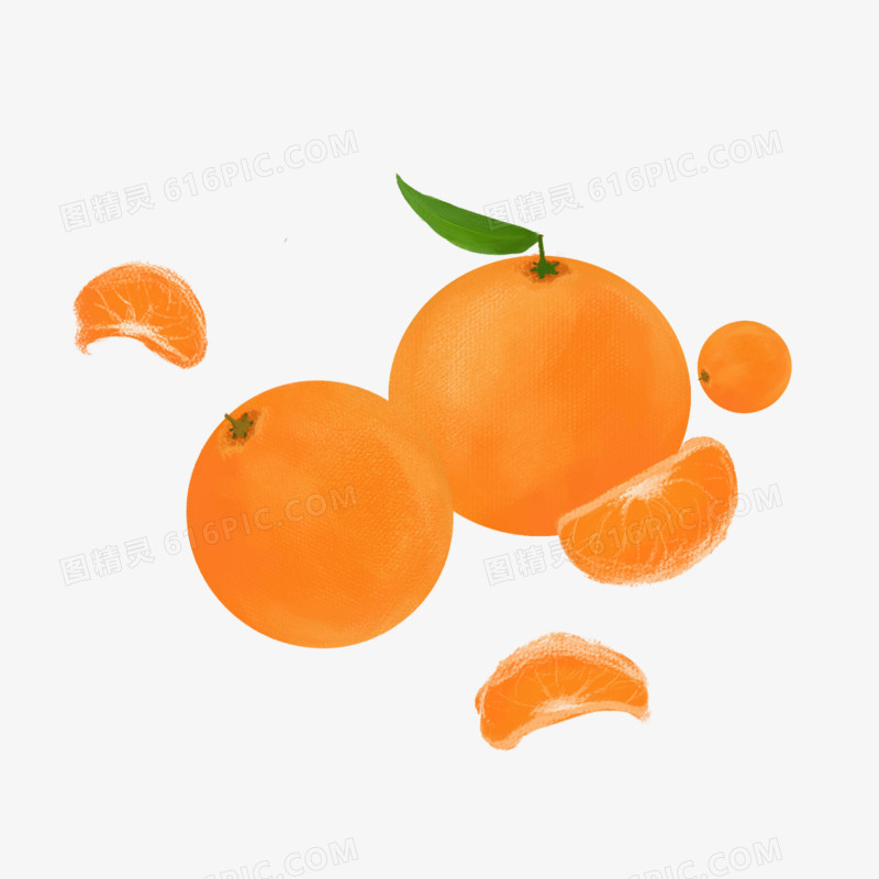 卡通手绘橘子橘子元素