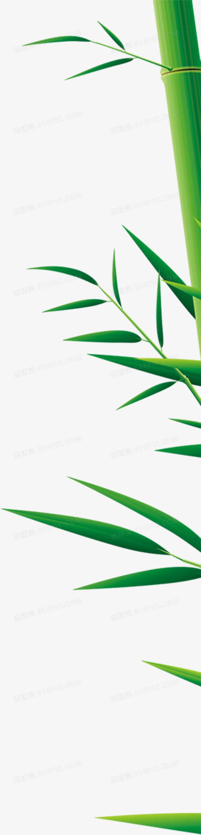 创意合成手绘质感绿色的竹子效果
