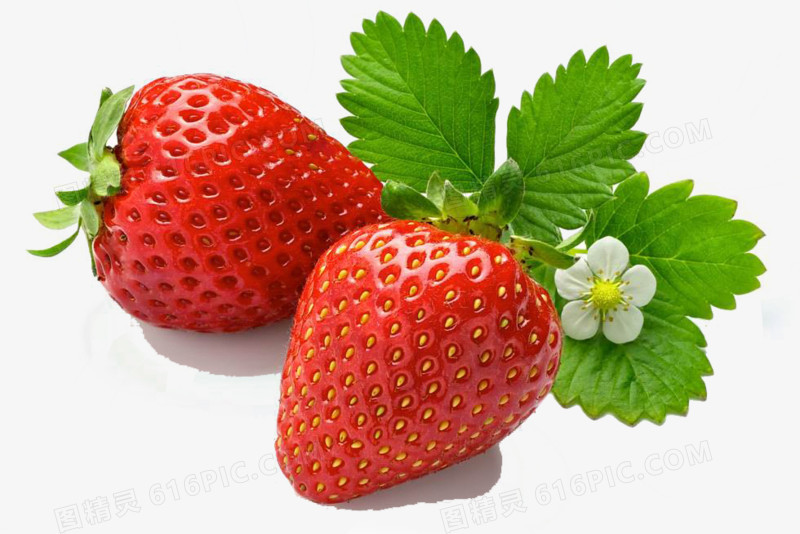 3d水果图案卡通3d水果素材 草莓