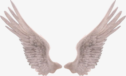 精美翅膀PNG透明背景素材