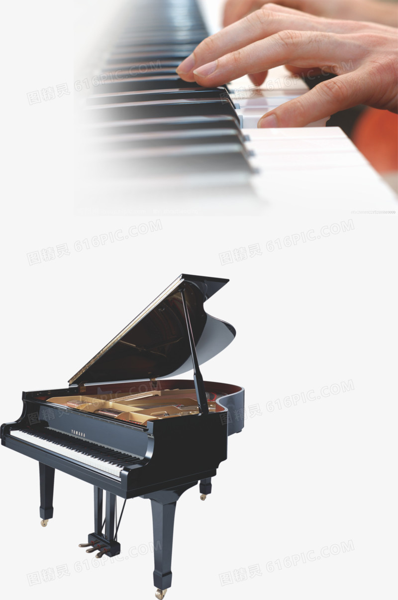 艺术培训钢琴教育