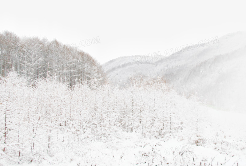 雪景