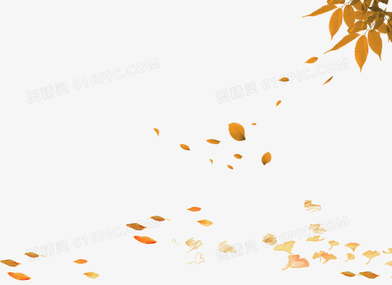 漂浮卡通漂浮几何几何漂浮花瓣漂浮秋天的漂浮落叶枫叶png木地板漂浮