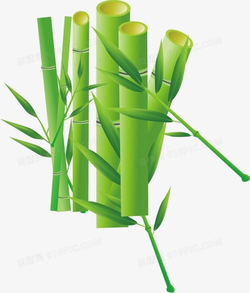 素描手绘竹子素材  精美竹子